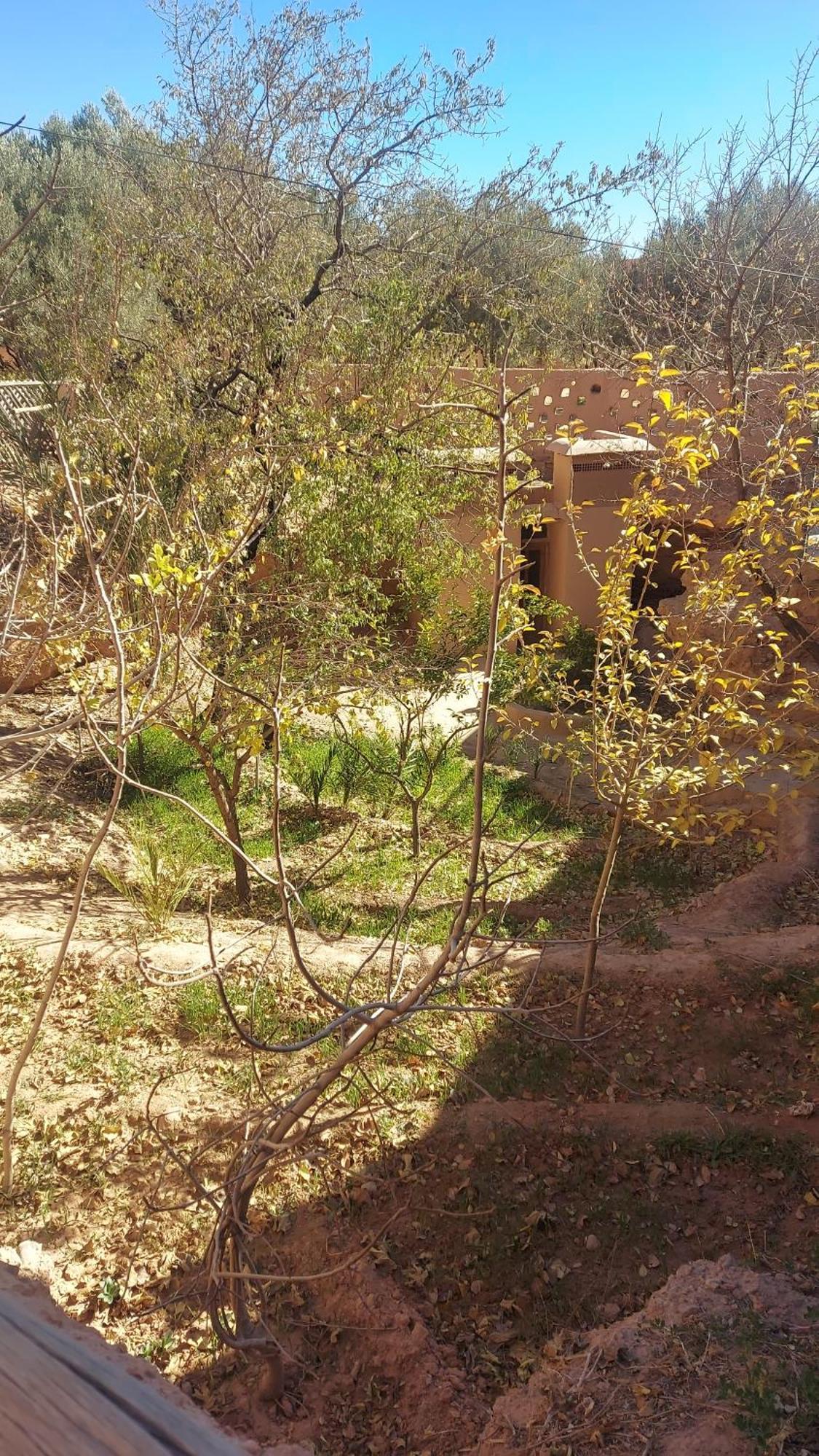 Ecolodge Miss Rose Chez La Famille Boumalne Dades Bagian luar foto