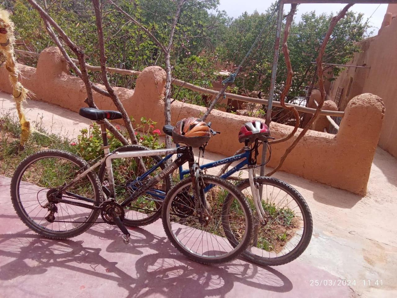 Ecolodge Miss Rose Chez La Famille Boumalne Dades Bagian luar foto